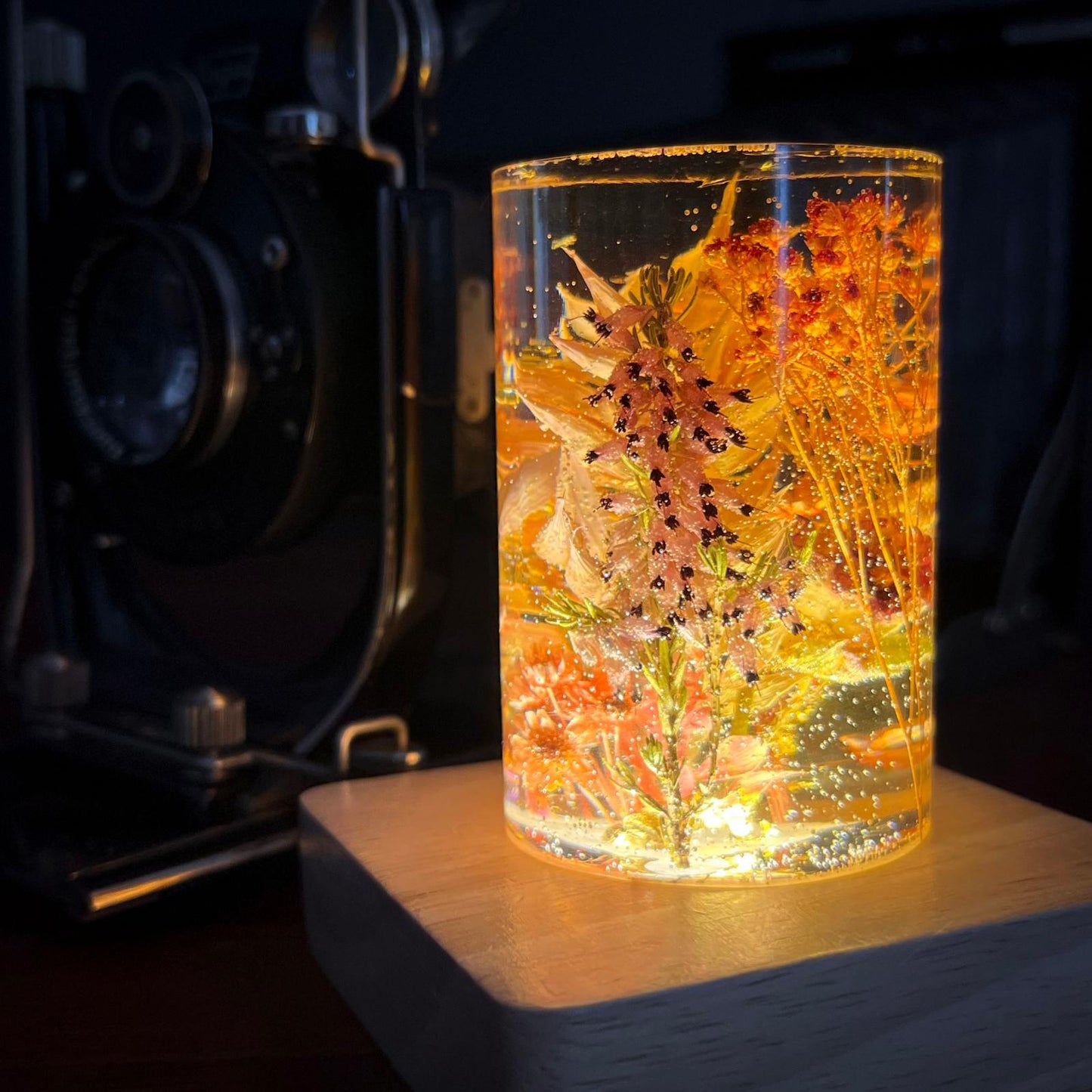 MAGIC FLORAL LIGHT