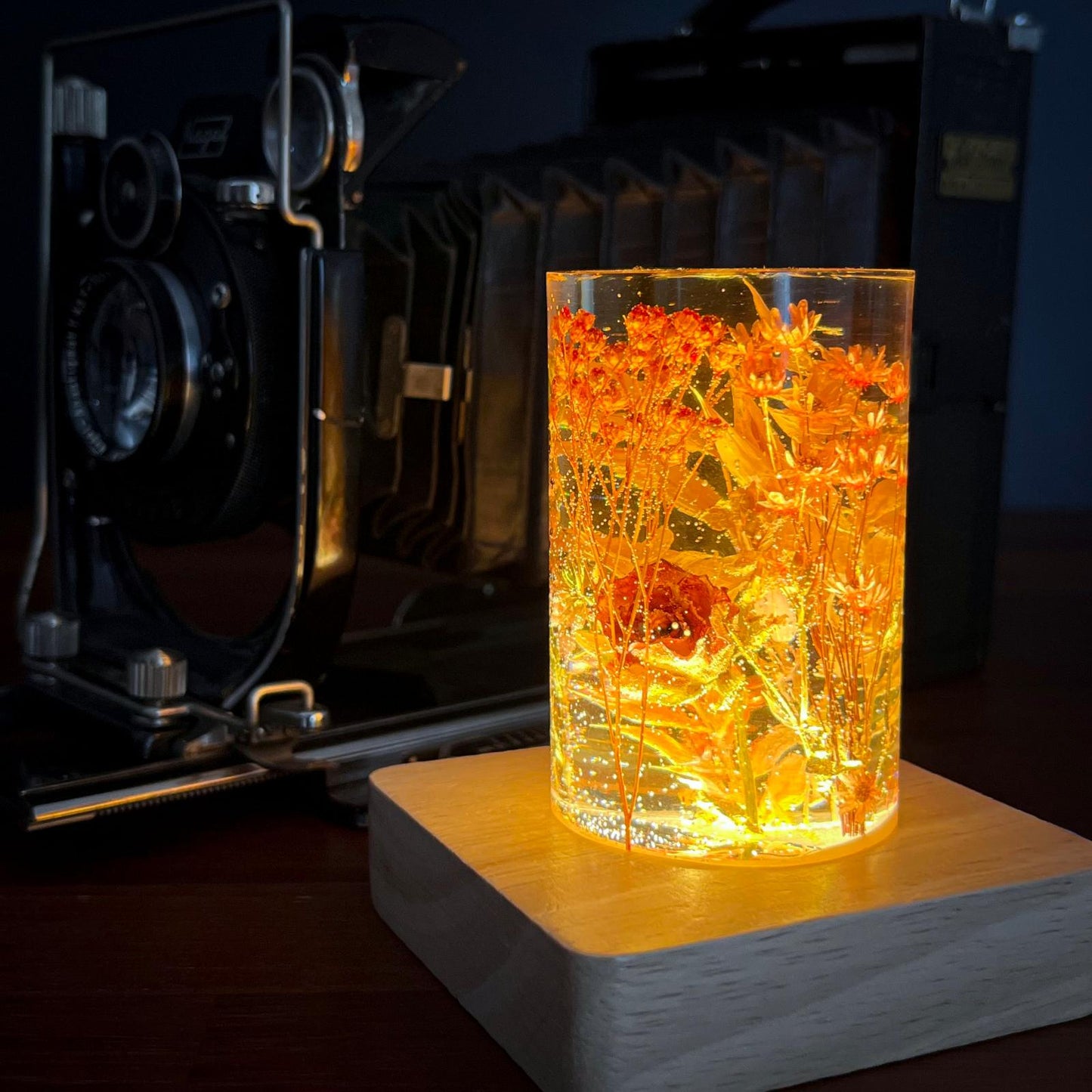 MAGIC FLORAL LIGHT
